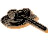Judicial Gavel